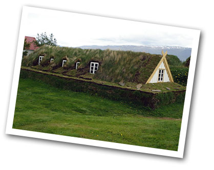 green roof iceland